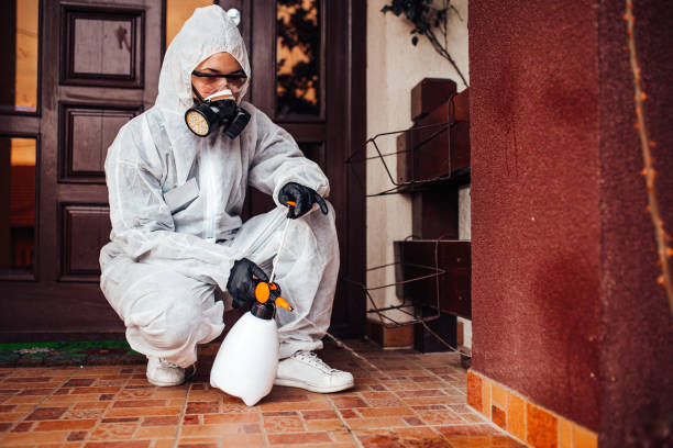 Reliable Cockroach Control contractor in Beachwood, NJ by Nex Pest Control
